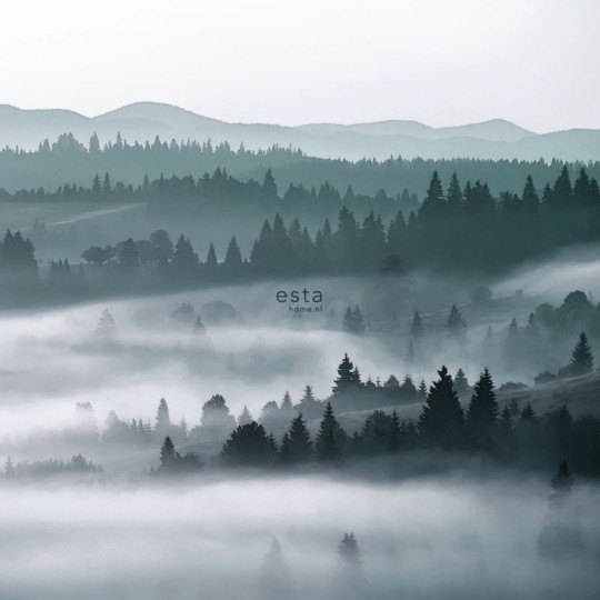 Esta 158910 XL² Photowalls foggy mountains green - mural w zamglony las i góry