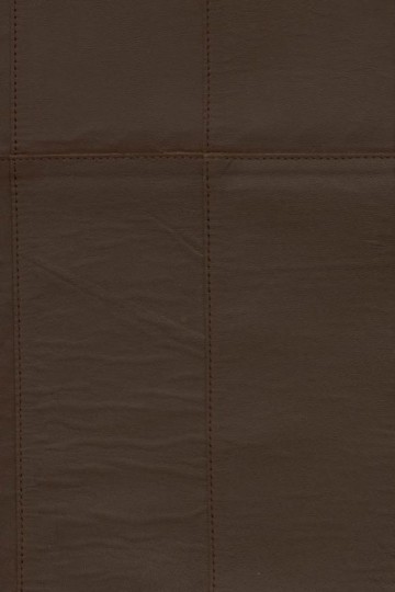 Arte 27457 Corium Paladin Bistre - tapeta z koziej skóry w prostokąty