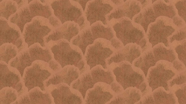 Arte 48632 Zephyr Nefeli Terra Gold - tapeta w chmury