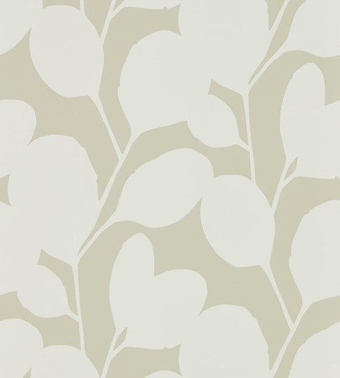 Tapeta Scion Nuevo Ocotillo 111819