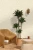 7be3e8cbad95b181fdce315689cbb85f