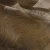 4ba1928407a19e8da99c007cde4e01ff