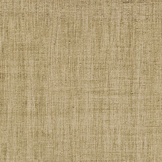 Elitis CV 109 91 Paradiso Cristal HPC L'âge d'or - tapeta obiektowa imitująca tkaninę