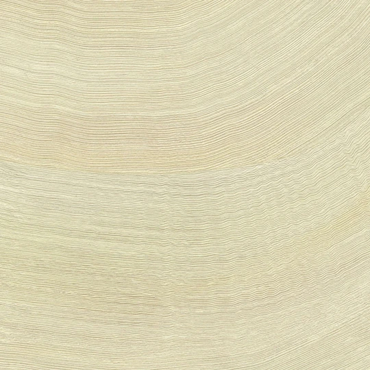 Elitis VP 1028 04 Lanzarote Calero Source d'inspiration - tapeta w kamienny wzór w fale