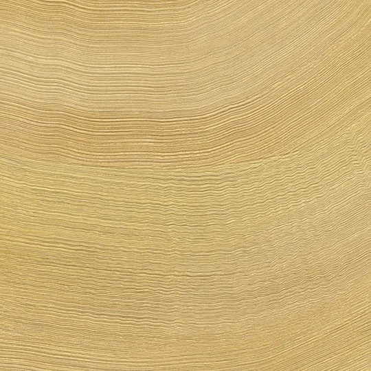 Elitis VP 1028 22 Lanzarote Calero Orfèvre en la matière - tapeta w kamienny wzór w fale