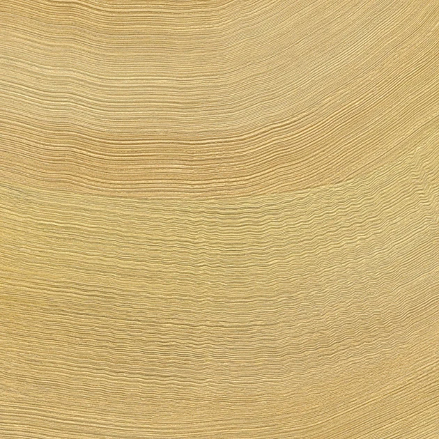 Elitis VP 1028 22 Lanzarote Calero Orfèvre en la matière - tapeta w kamienny wzór w fale