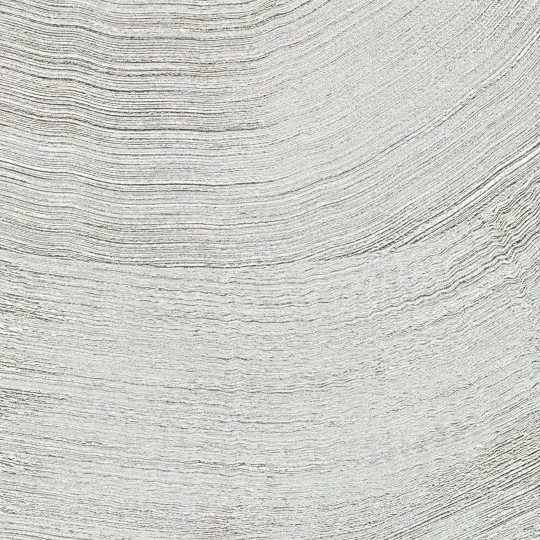 Elitis VP 1029 92 Lanzarote Calero metal Filament d'argent - tapeta metaliczna w fale