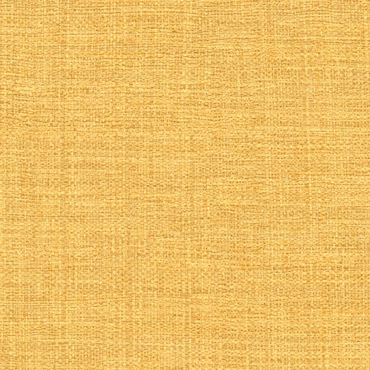 Elitis VP 731 22 Madagascar Arrowroot Raw Raffia Madagascar Une toison d'or - tapeta imitująca rafię