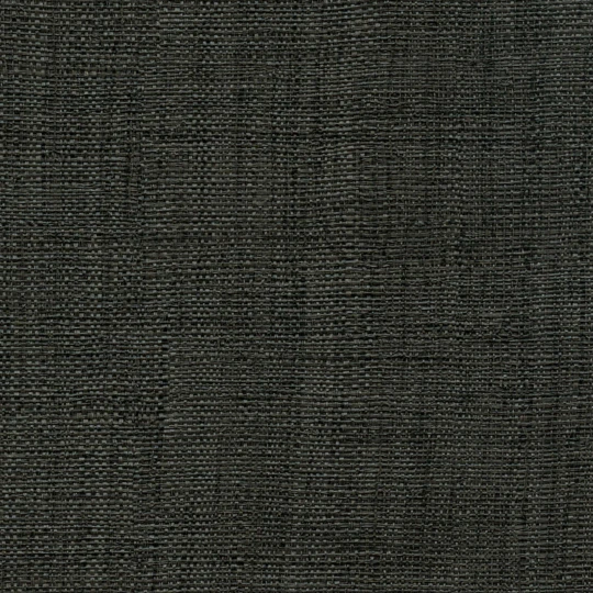 Elitis VP 731 41 Madagascar Arrowroot Raw Raffia Madagascar Pour mieux la sublimer - tapeta imitująca rafię