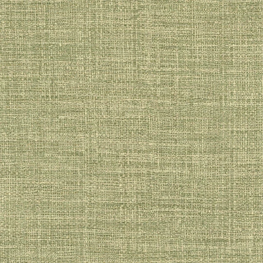 Elitis VP 731 61 Madagascar Arrowroot Raw Raffia Madagascar Le chant des cigales - tapeta imitująca rafię