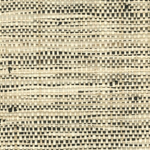 bf15048eea6d0950b55912539753a5a0