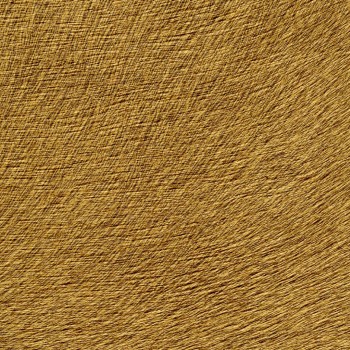 3c974c0807153906aaf15d3e4e38db81