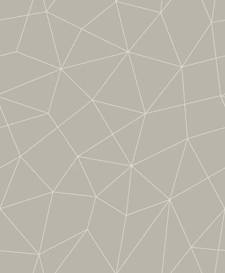 Wallquest GM31208 Geometry Helike Macadamia - tapeta geometryczna