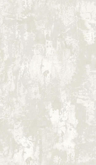 Wallquest EL21407 Neutral Elements Nymera Moon - tapeta imitująca przetartą kamienną ścianę