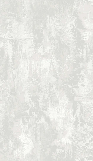 Wallquest EL21410 Neutral Elements Nymera Frost - tapeta imitująca przetartą kamienną ścianę