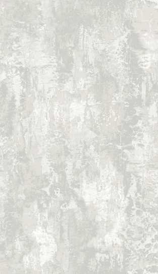 Wallquest EL21420 Neutral Elements Nymera Snow - tapeta imitująca przetartą kamienną ścianę