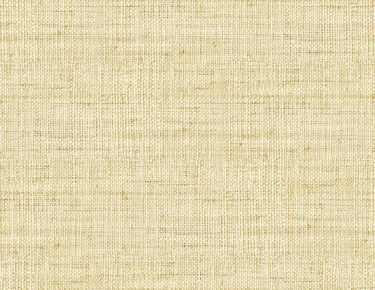Wallquest RA40314 Raffia Wild Bind 27 Honey - tapeta jak rafia