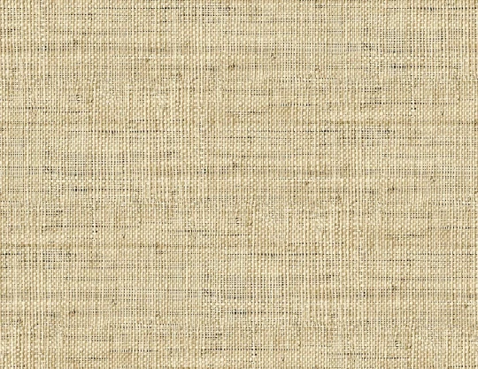 Wallquest RA40315 Raffia Wild Bind 27 Wheat - tapeta jak rafia