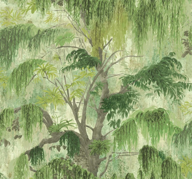 Wallquest TR70224 Trees Spanish Moss Fern - tapeta w egzotyczne drzewa