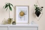 Trendy-31717.webp