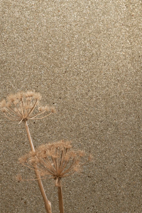 b3327ee0d956726e23c71ab1ab53f2b2