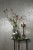 7525f650a405873f82b11fad4ca012ba