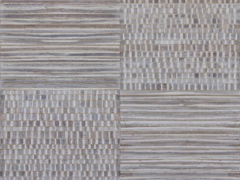 2c5e6c77574266d8547703cfdabfe9b0