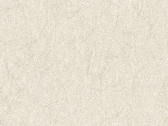 Omexco SOP3101 Shades of Pale - tapeta strukturalna