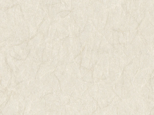 Omexco SOP3101 Shades of Pale - tapeta strukturalna
