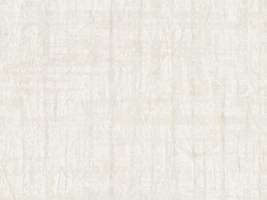 Omexco SOP3102 Shades of Pale - tapeta strukturalna