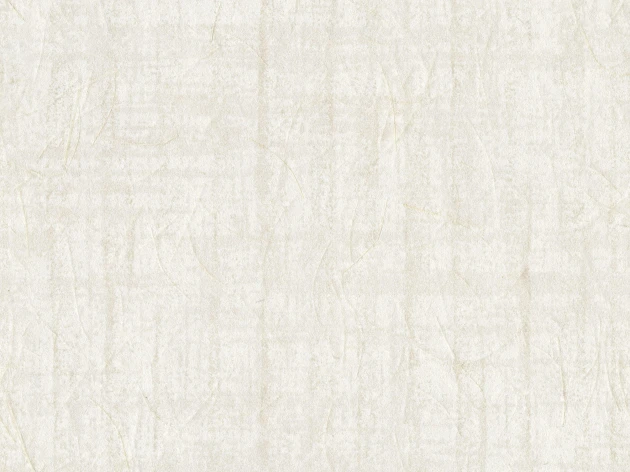 Omexco SOP3102 Shades of Pale - tapeta strukturalna