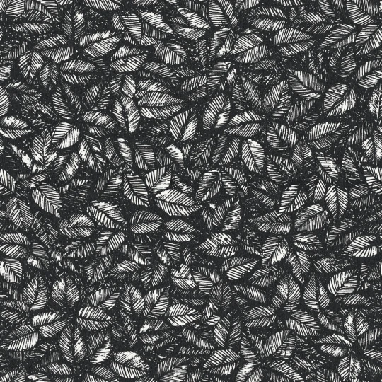 Boras Tapeter 9816W Studio Viola Gråsten Amorina Black & White - mural w liście