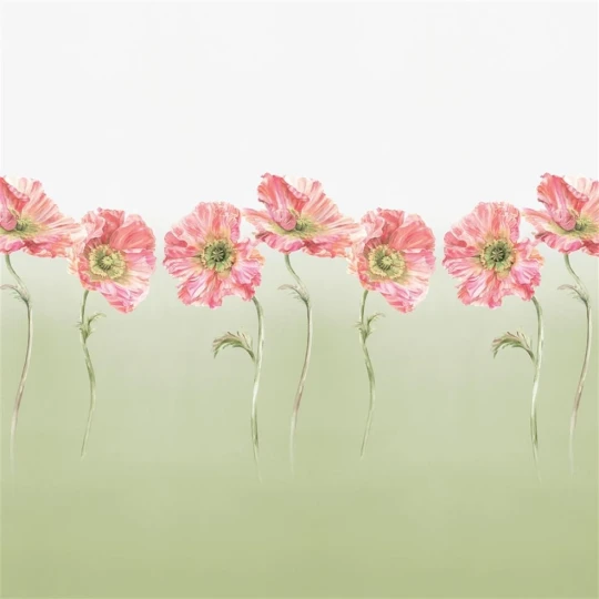 Designers Guild PDG1210/02 Palette Provencale coquelicot Sage - mural w maki