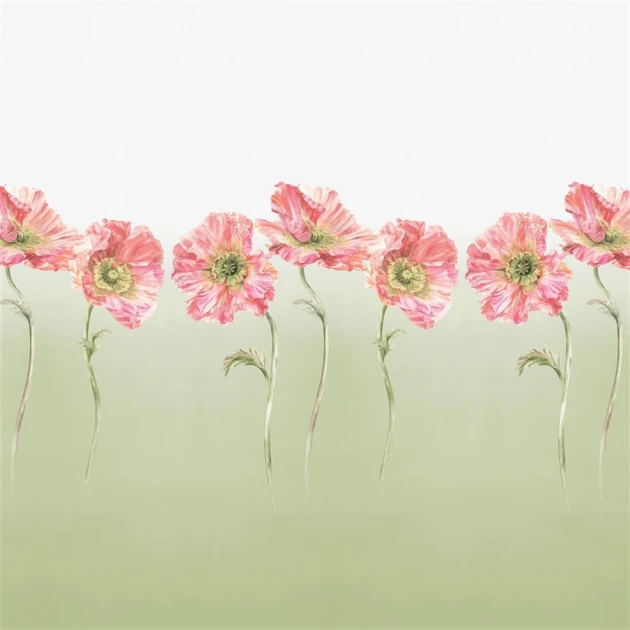 Designers Guild PDG1210/02 Palette Provencale coquelicot Sage - mural w maki