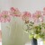 c95303e478841985704c371962126db1