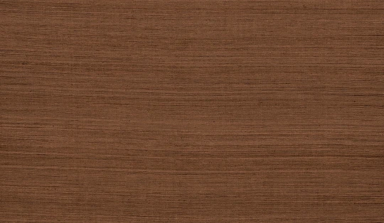 Guy Masureel BLONE807 Intact Cocoon Terra - tapeta jedwabna w poziome prążki