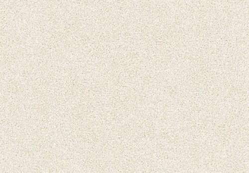 c9d2f11d452a10192d5efb706c324d80