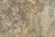 fa81003ab592c7ad2326a96ac9b8828d