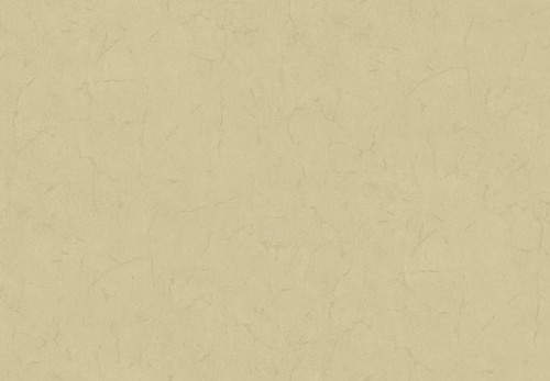d1a6081fd57af8107bbad11d6355c184