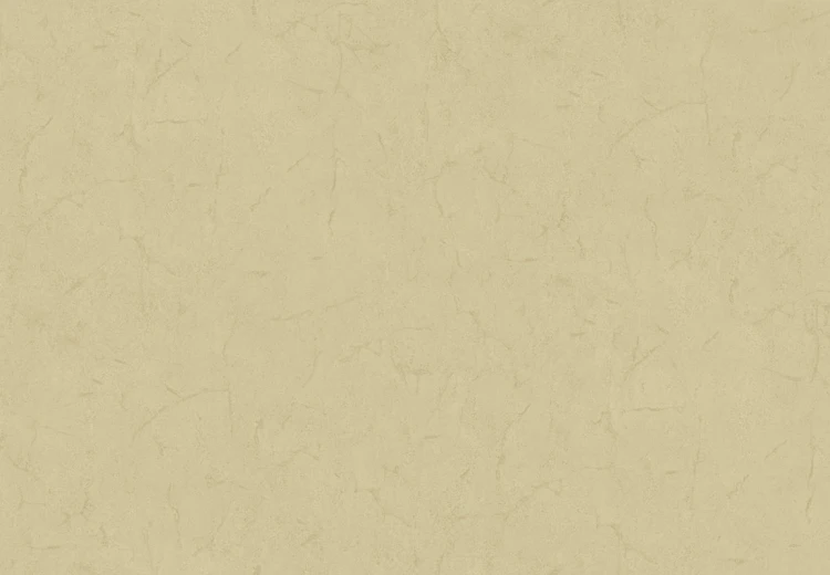 d1a6081fd57af8107bbad11d6355c184