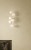 74b74aeb623953e2424ec39bb0e544b1