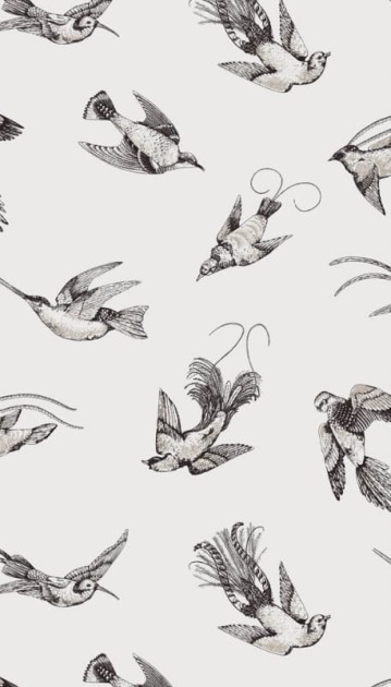 Tapeta Cole & Son - Frontier - Tropical Birds - 89/1001