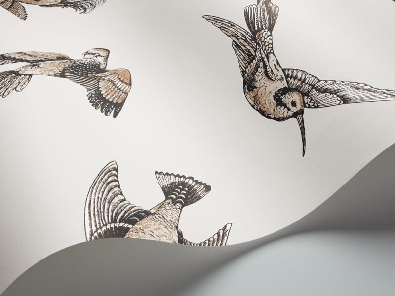 Tapeta Cole & Son - Frontier - Tropical Birds - 89/1001