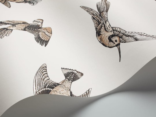 Tapeta Cole & Son - Frontier - Tropical Birds - 89/1001