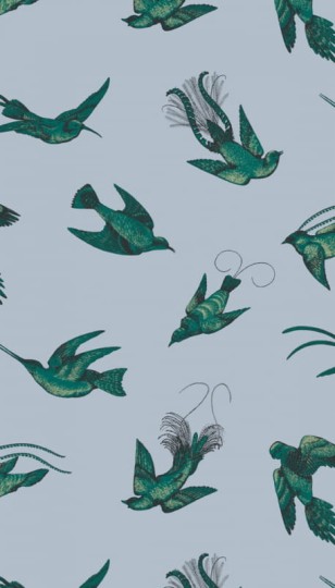 Tapeta Cole & Son - Frontier - Tropical Birds - 89/1003