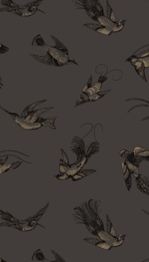 Tapeta Cole & Son - Frontier - Tropical Birds - 89/1004