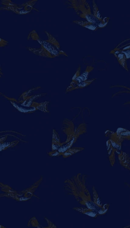 13780055e1d909f17b571bc69ac4106b