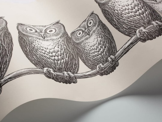 Tapeta Cole & Son - Fornasetti II - Nottambule-Border 97/5015