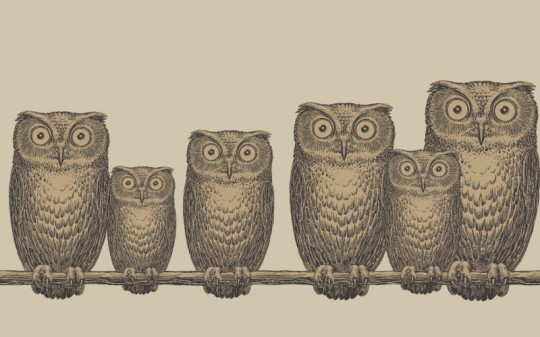 Tapeta Cole & Son - Fornasetti II - Nottambule-Border 97/5016