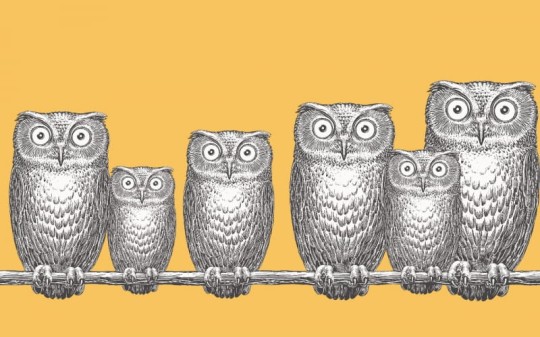 Tapeta Cole & Son - Fornasetti II - Nottambule-Border 97/5017